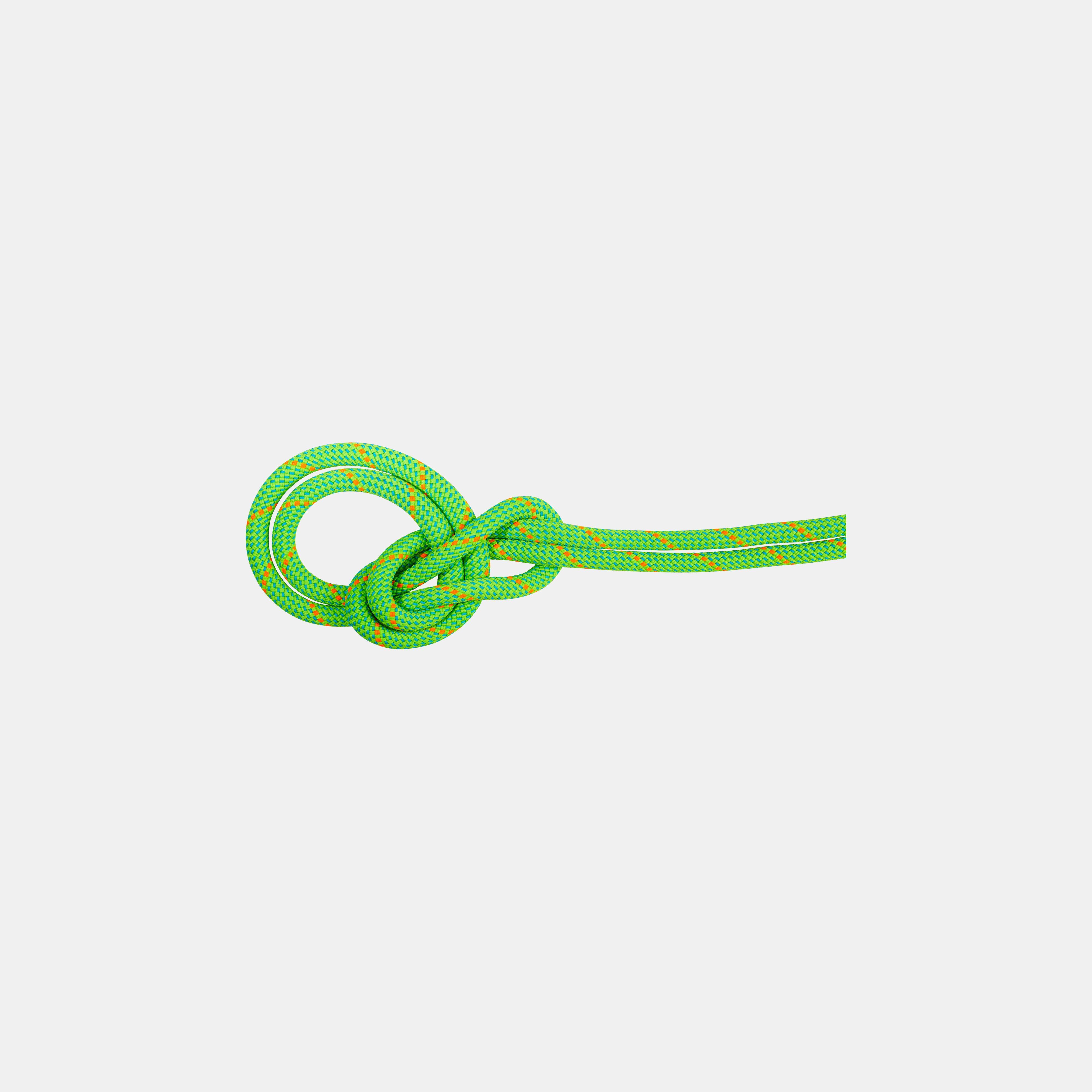 Mammut 9.5 Crag Eco Dry Rope 60m, neon green-ocean